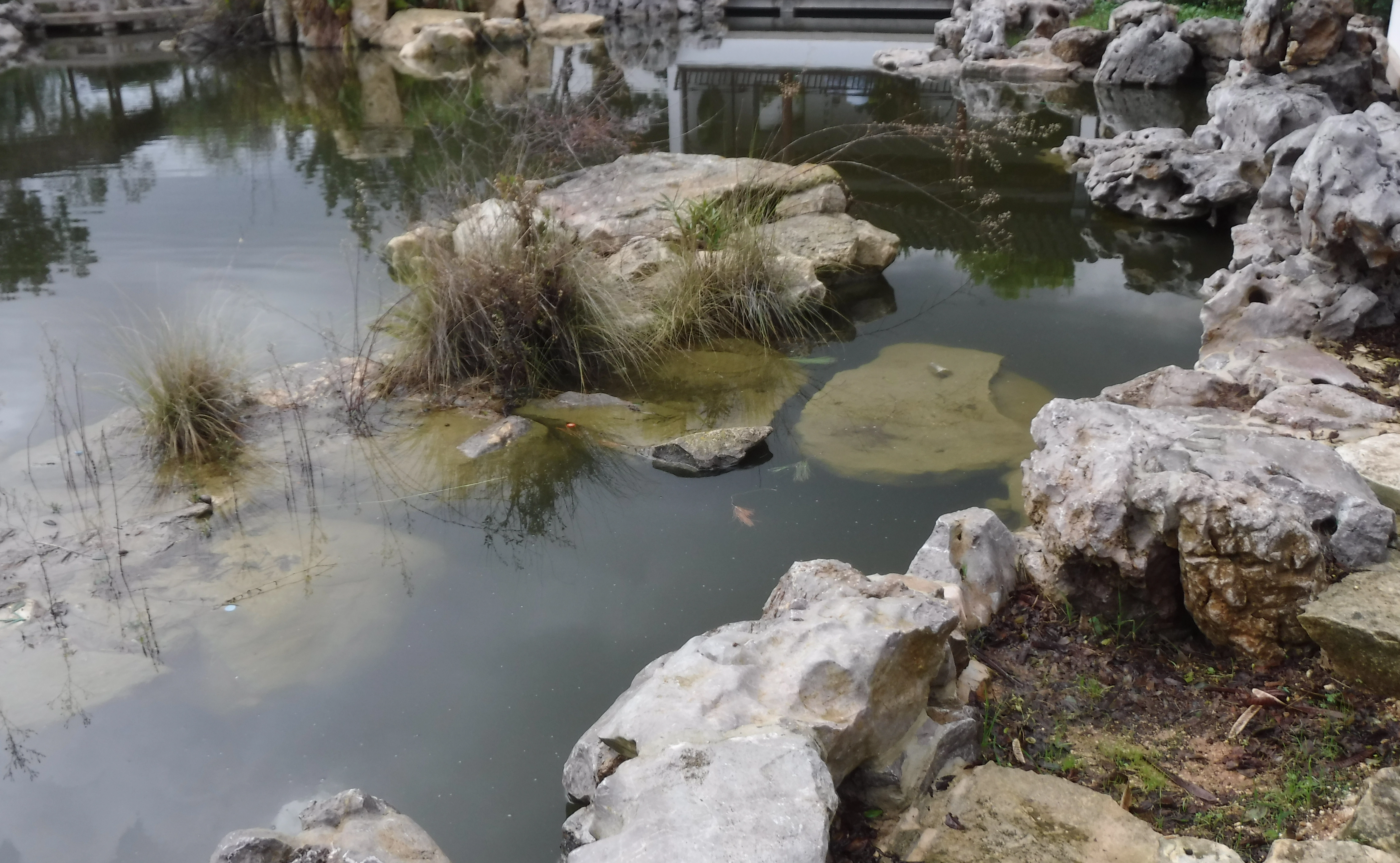 Freshwater Environment